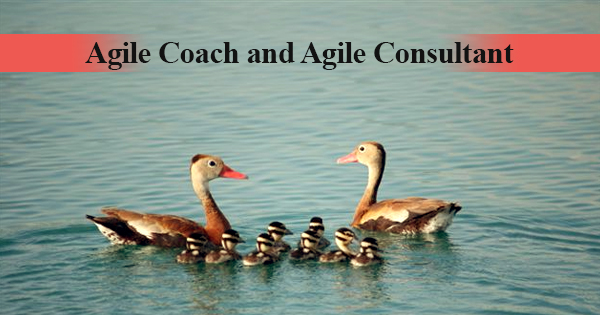 What is the difference between Agile Coach and Agile Consultant? | Simplilearn