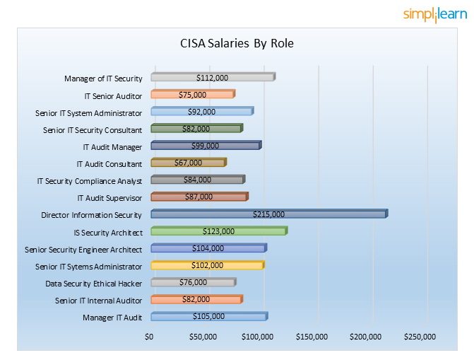 14 Tips to pass the CISA Certification Training Exam