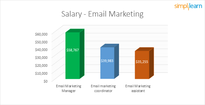 How to launch a Stellar Career in Digital Marketing